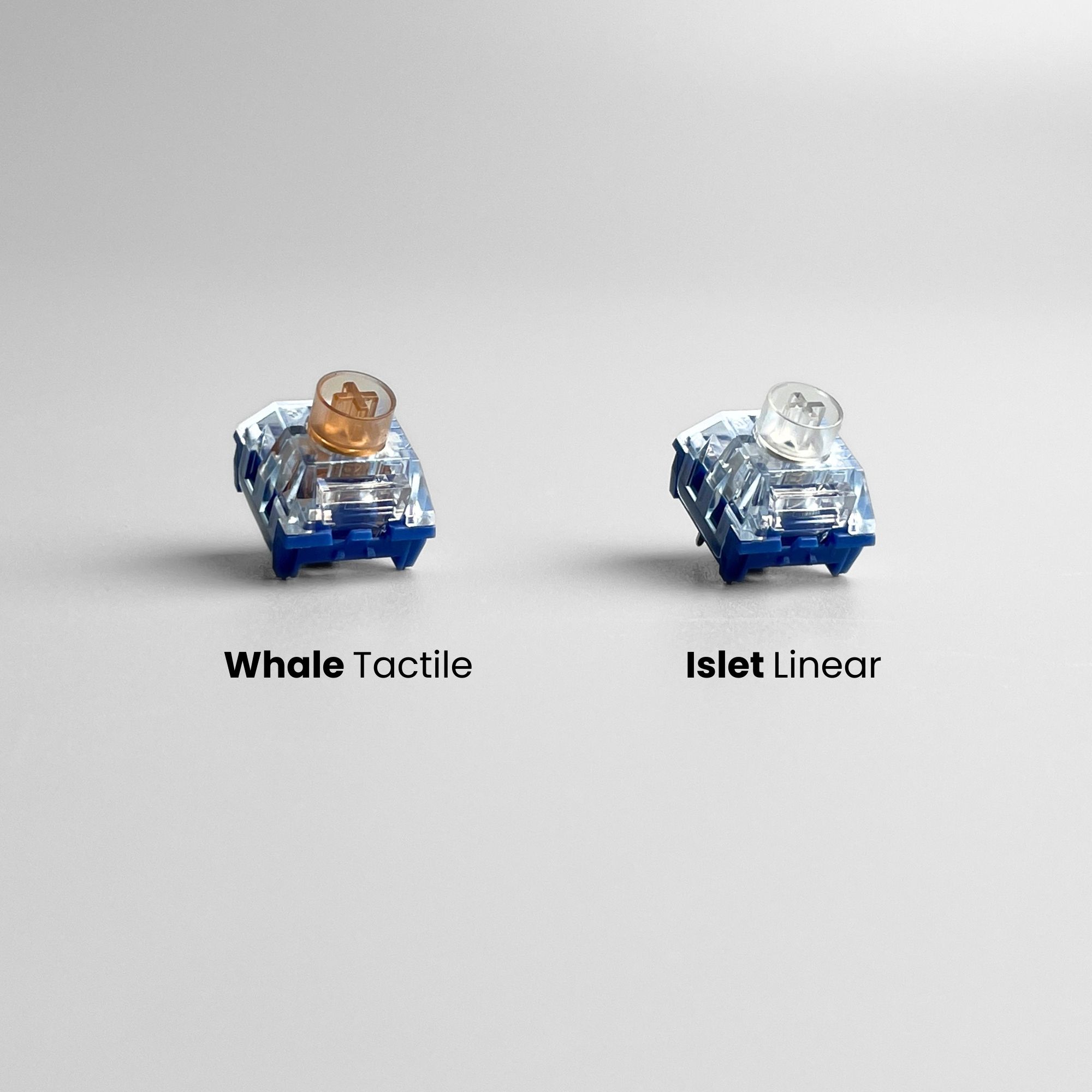 Kailh Ultra Quiet Deep Sea MX Key Switches